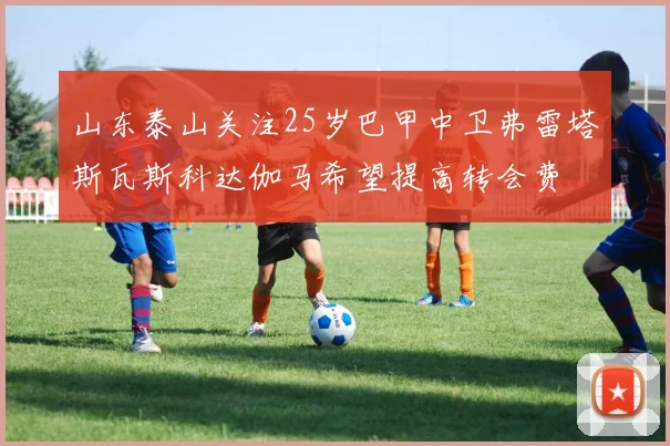 山东泰山关注25岁巴甲中卫弗雷塔斯瓦斯科达伽马希望提高转会费