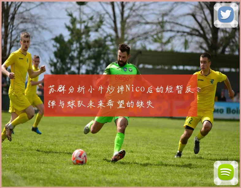 苏群分析小牛炒掉Nico后的短暂反弹与球队未来希望的缺失