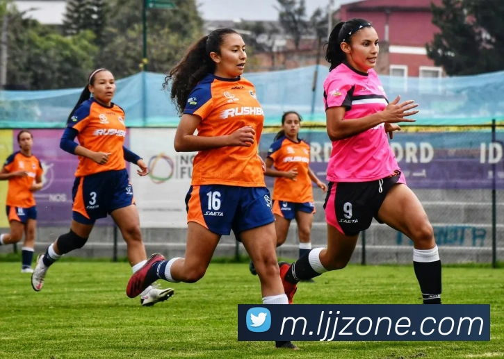 雷竞技发展历程